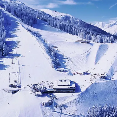 Chalets Bergeralm - Otr04100c-tyc 木屋 施泰纳赫布伦纳